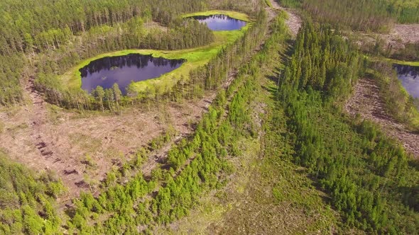Drone shot of a forest logging in a ridge area in Finland. Three small pond and a coniferous forest. alt