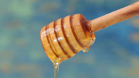 Close Up Fresh Fluid Honey Pouring and Flowing From Wooden Dipper Spoon on Blue alt