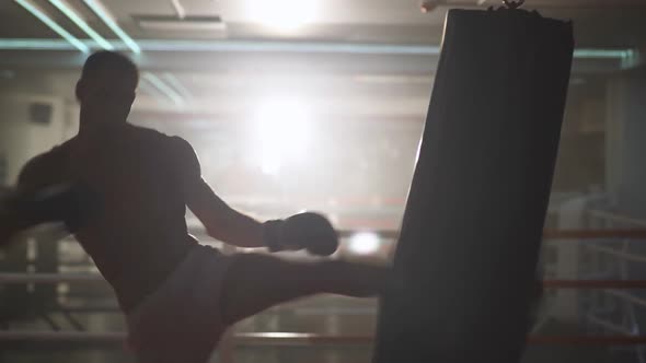 Boxing, Athletic Man Fighter Trains His Punches, Beats a Punching Bag, Training Day in the Boxing alt