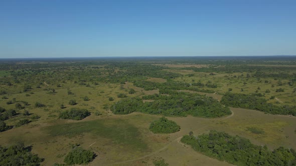 Pantanal Wetlands in Dry Season in Brazil