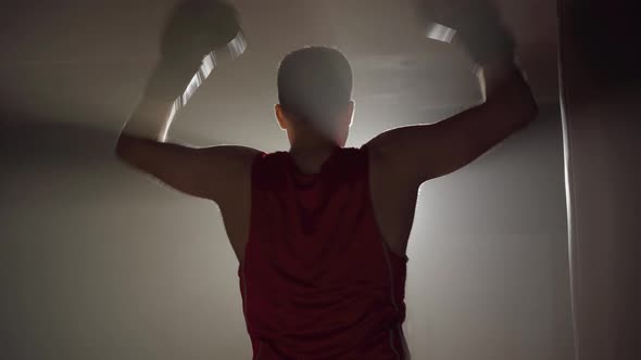 Silhouette of Male Boxer Showing Victory Gesture in Lense Flare. Back View of Young Athletic alt