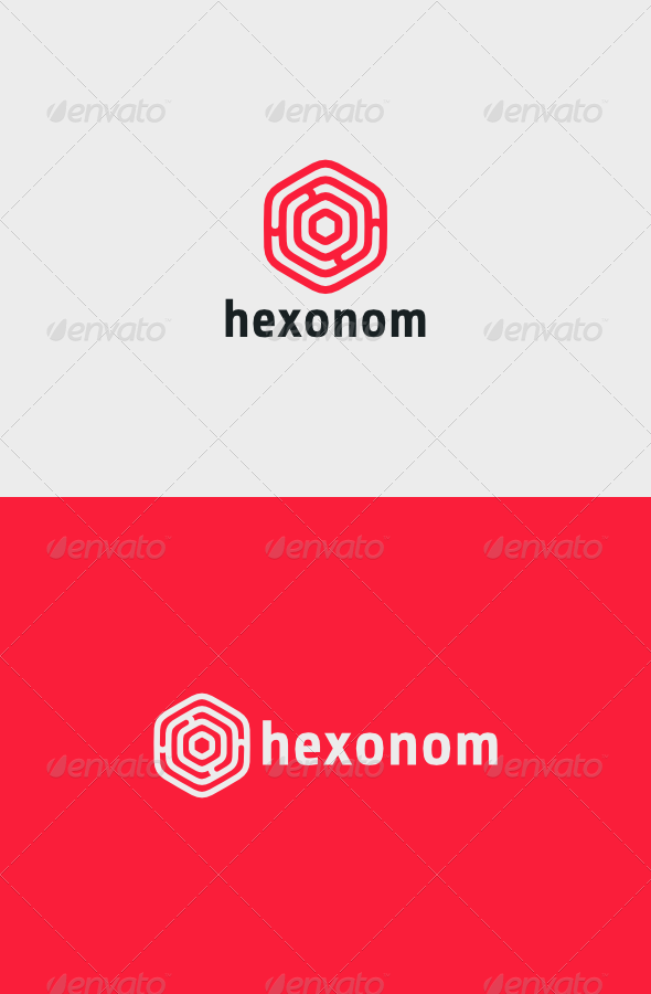 Hexonom Logo - Vector Abstract