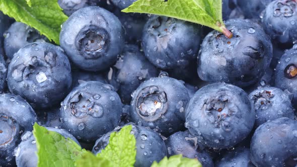 Fresh Blueberries Closeup