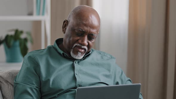 Focused Old Senior Bald Overweight African Man Freelancer Mature Male Working on Computer at Home alt
