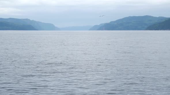 Large Body Of Water With Mountains In The Background As Bird Flys By