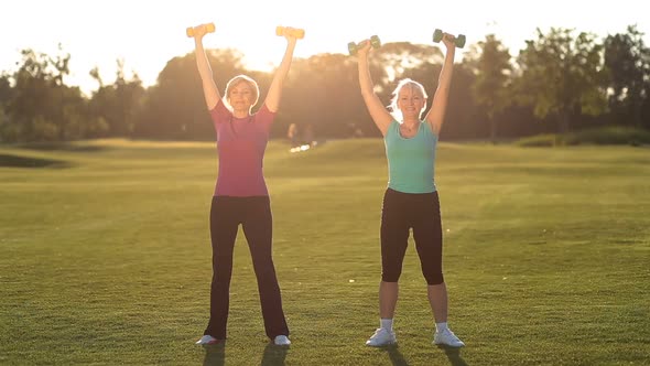 Charming Ladies Working Out with Dumbbells in Park alt