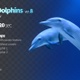 Two Dolphins 8 - VideoHive Item for Sale