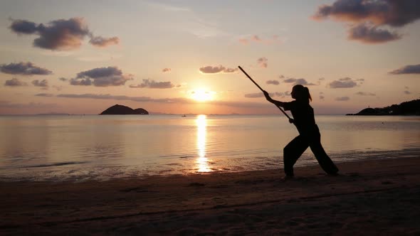 Silhouette of a Young Powerful Woman on the Beach Doing a Kung-fu Exercises alt