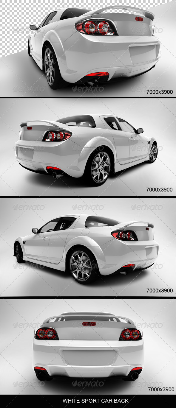White Sport Car Back - 3D Renders Graphics