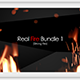 Real Fire Bundle 1