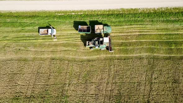 Aerial view of a green vintage combine harvester dumping wheat in the field for the food industry, y alt