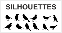 SILHOUETTES