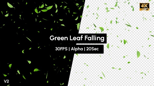 Green Leaf Falling Rain Leaves alt