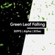 Green Leaf Falling Rain Leaves - VideoHive Item for Sale
