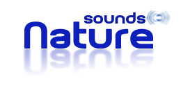 Nature Sounds