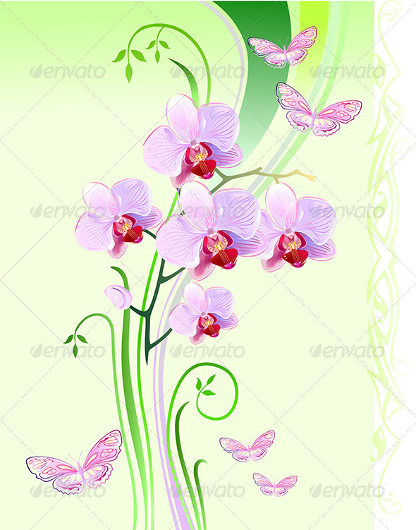 Orchids and Butterflies - Flourishes / Swirls Decorative