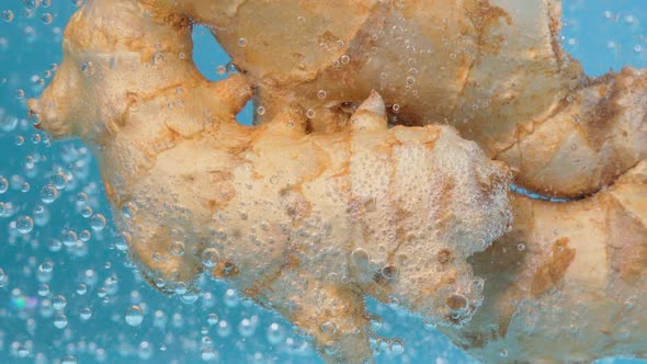 Ginger Close Up in the Water Underwater Macro Selective Focus alt