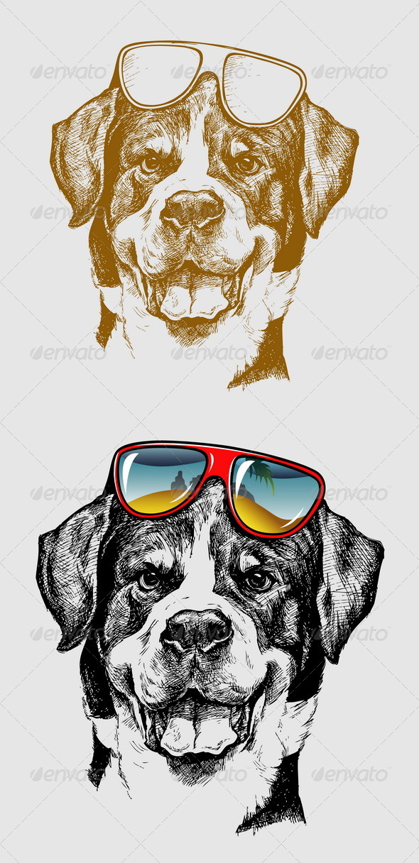 Cool Dog Illustration