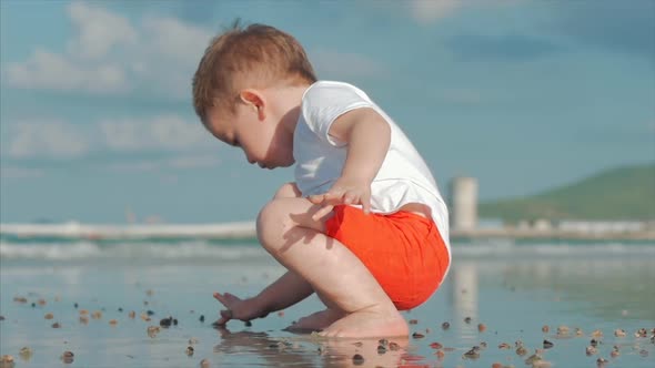 Cute Little Child Plays Near the Sea, Kid Catches, Considers Live Sea Shells, Crabs, On a Tropical alt