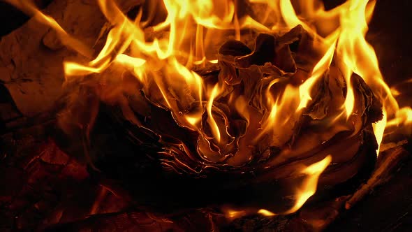Book Pages Curling And Burning In Fire alt