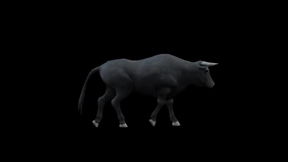 Bull Walk 2 alt