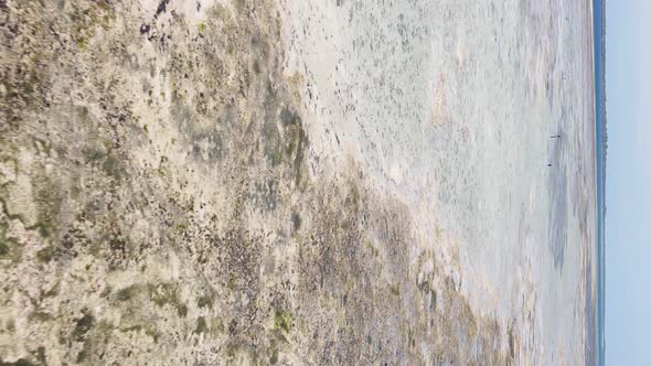 Zanzibar Tanzania  Vertical Video of Low Tide in the Ocean Near the Coast Slow Motion alt