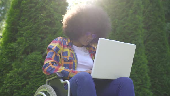 Smiler African American Woman with an Afro Hairstyle Disabled in a Wheelchair Uses a Laptop Sunflare alt