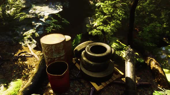 Garbage Dump in the Woods alt