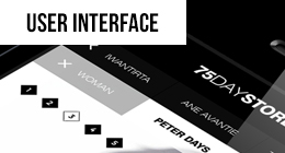 User Interface