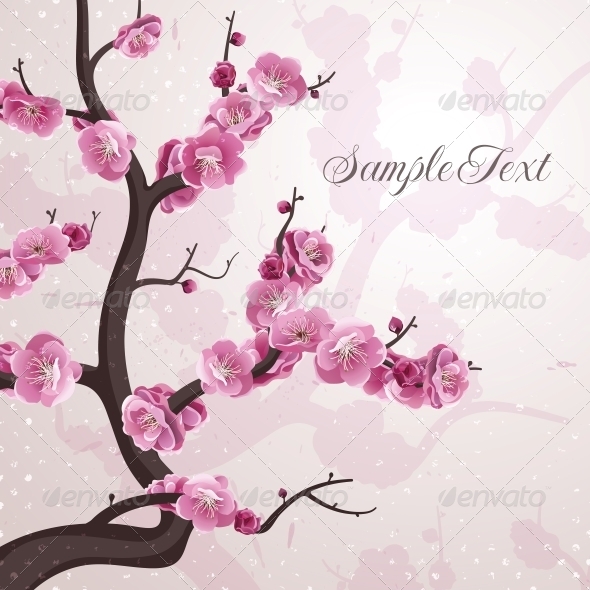 Cherry Flowers. Card with Spring Blossom. - Flowers & Plants Nature