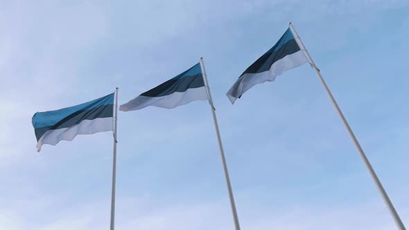 Three Flags of Estonia fluttering on wind against the blue sky in slow motion alt