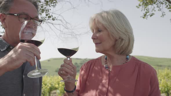 Senior couple drinking wine at vineyard 