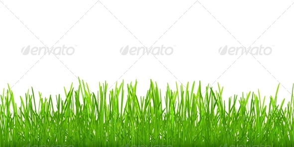 Seamless Grass - Flowers & Plants Nature