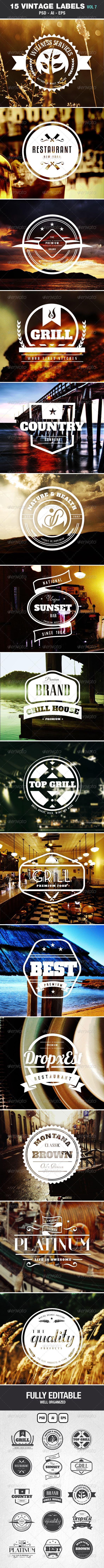 Retro Vintage Labels & Badges Logos V7 - Badges & Stickers Web Elements