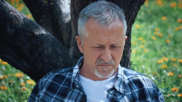 An Elderly Grayhaired Man with a Beard Carefully Examines the Information on a Laptop Sitting in the