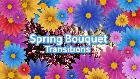Spring Bouquet Transitions