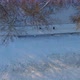 People Jogging on Iron Bridge Covered with Snow in Park in Winter - VideoHive Item for Sale