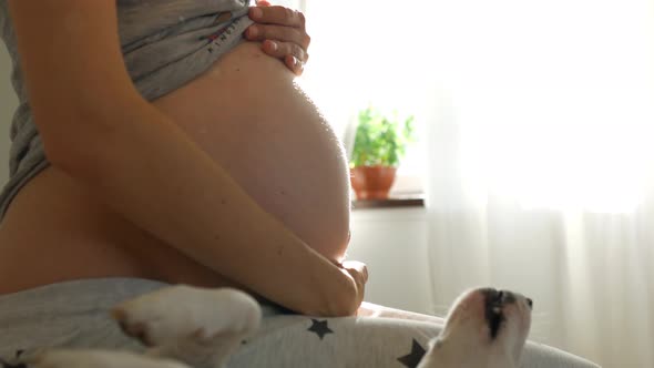 close-up belly of a pregnant woman by the window alt