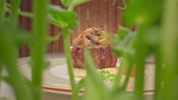 Zoom Out Slide Video of Filet Mignon Steak Through Microgreen Sprouts alt