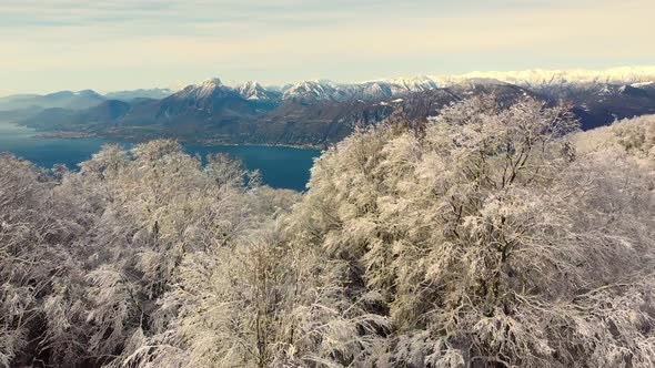 Snow mountains and trees at Garda Lake alt