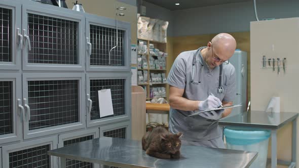 Portrait Of Male Veterinarian With Cat alt