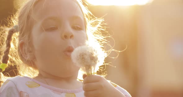 Charming Little Girl Blowing Dandelion While Walking