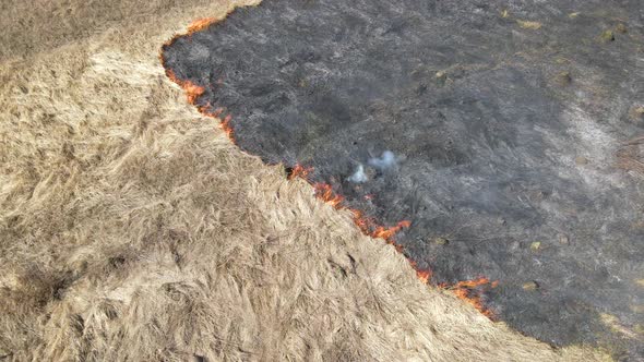 Aerial View of Grassland Field Burning with Red Fire During Dry Season alt