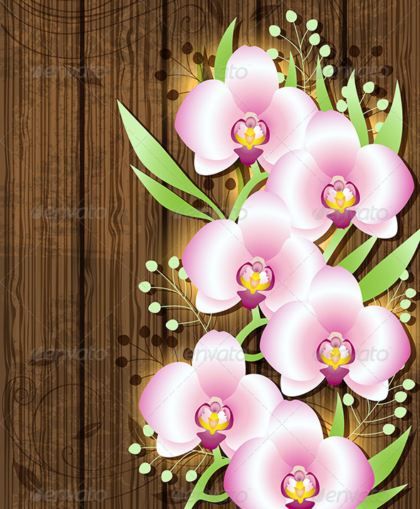 Wooden Background with Pink Orchids - Flowers & Plants Nature