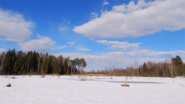 Winter Marsh