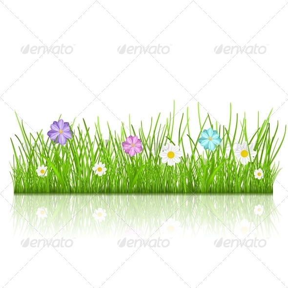 Grass with Flowers - Flowers & Plants Nature