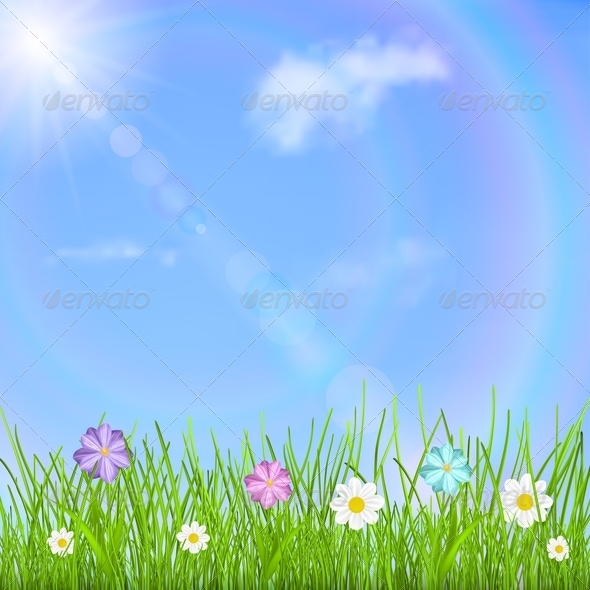 Background with Sky, Grass and Flowers - Flowers & Plants Nature