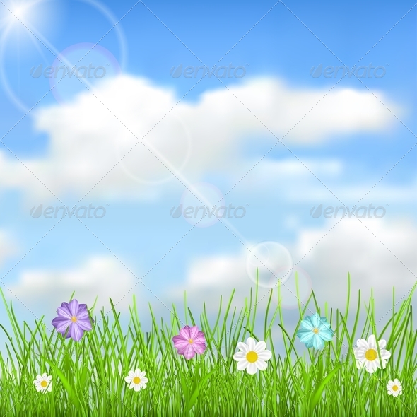 Background with Sky, Clouds, Grass and Flowers - Flowers & Plants Nature
