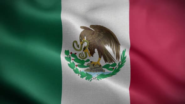 Mexico Flag Loop alt