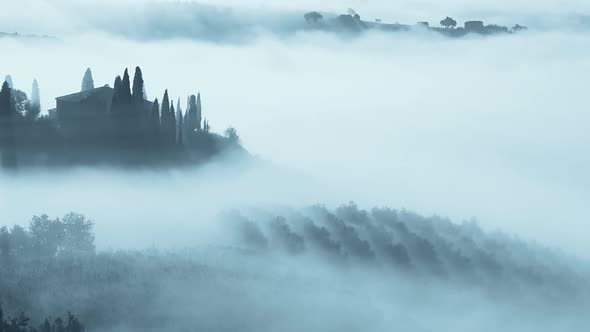 Thick Fog in Tuscany